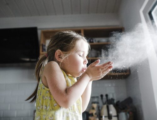 Seasonal Cleaning in Louisville: Why Your Home Needs a Refresh Every Season