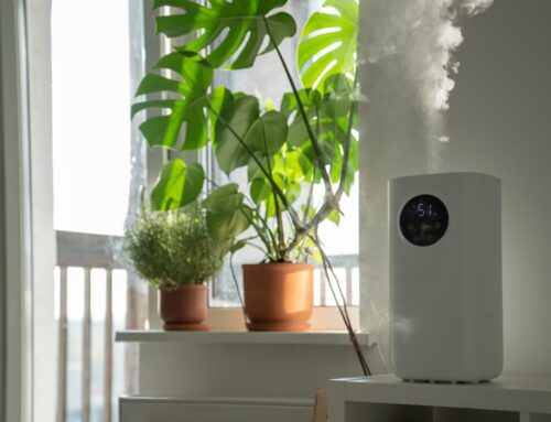 Keeping Allergens Out: How Regular Cleaning Improves Indoor Air Quality in Louisville Homes