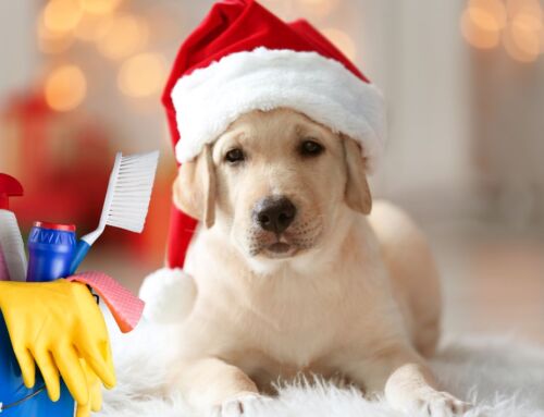 🎁 Valley Station, KY & PRP, KY: Maintaining a Clean Home During the Holiday Chaos