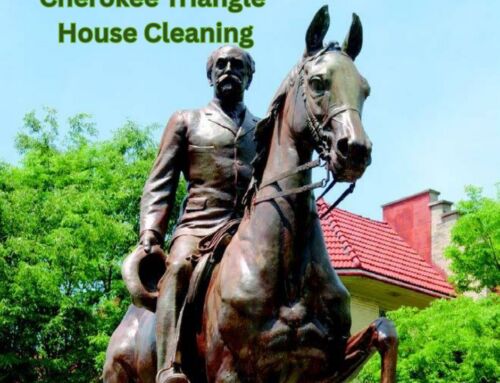 Supporting the Cherokee Triangle Community with Stroll Magazine